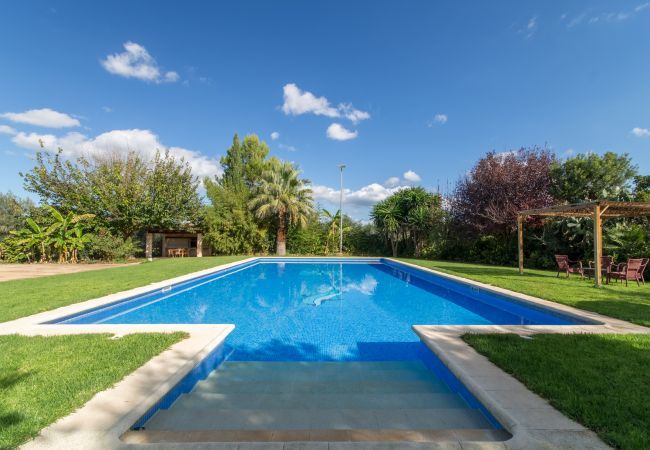 Villa en Buger - Dofi Blau, Villa 5StarsHome Mallorca