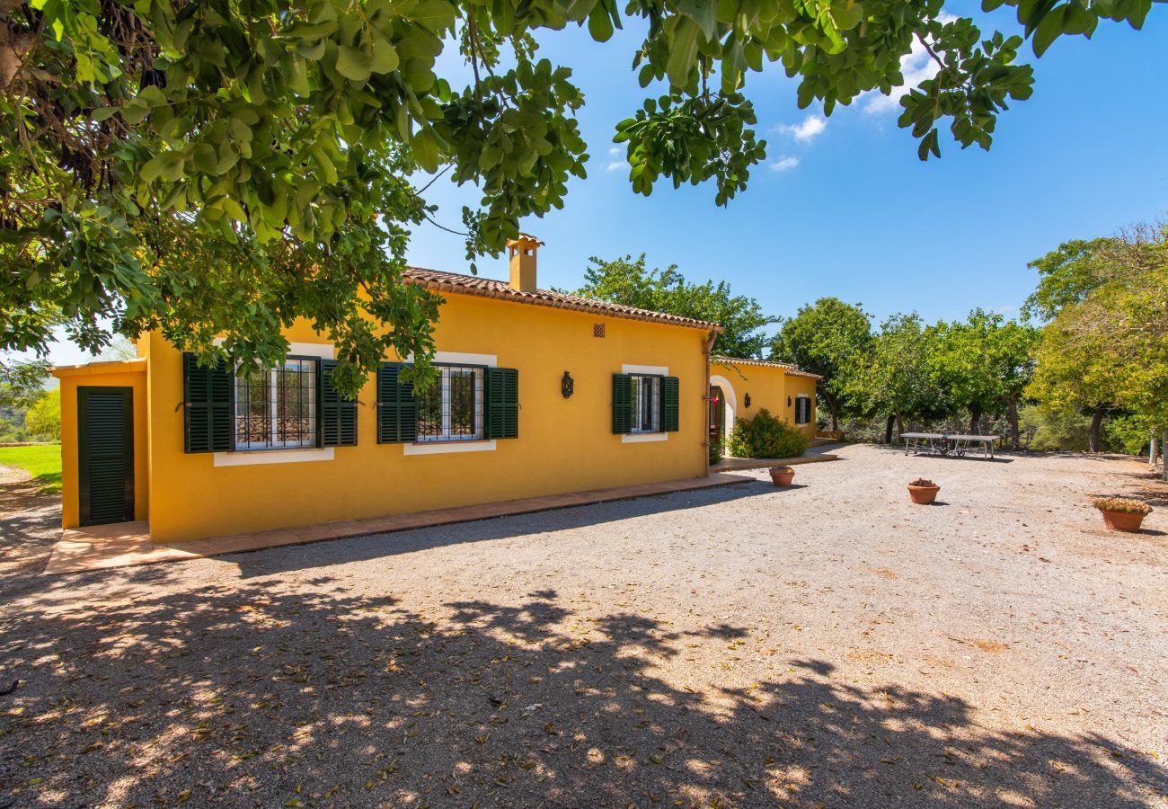 Casa rural en Manacor - Sestador Blat, Finca 5StarsHome Mallorca