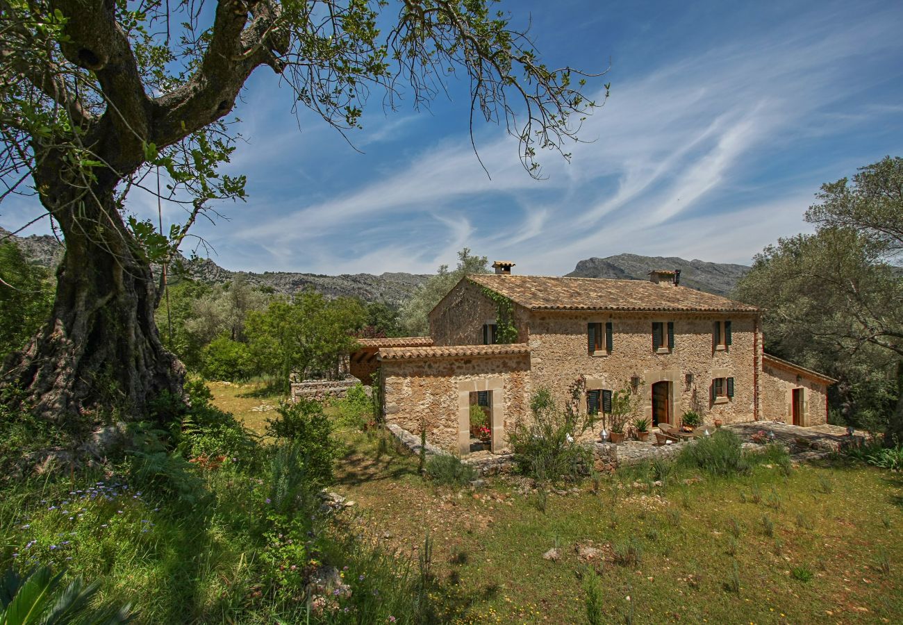 Casa rural en Pollensa / Pollença - Mon Mallorqui, Finca 5StarsHome Mallorca