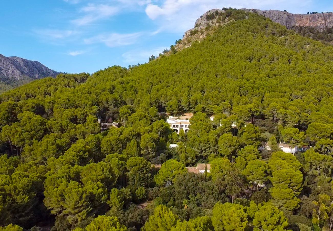 Villa en Puerto Pollensa - Formentor Deluxe 2, Villa 5StarsHome Mallorca