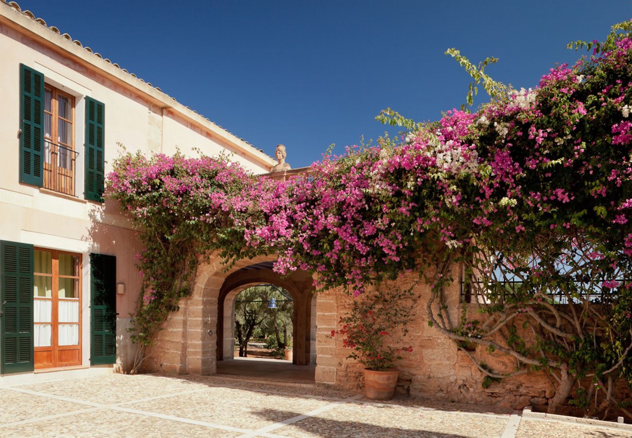 Villa en Santa Margalida - Violet Nature 8, Villa 5StarsHome Mallorca